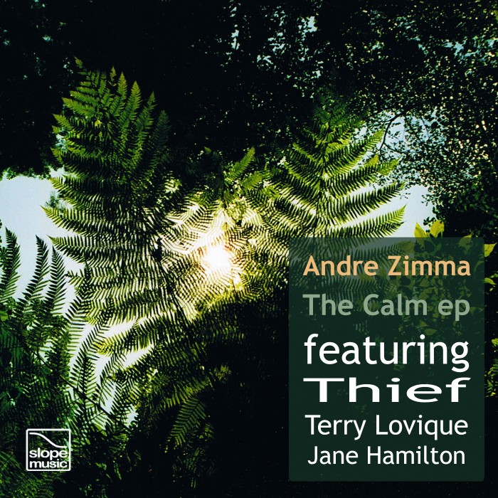 Andre-Zimmas-The-Calm-ep-SOM025